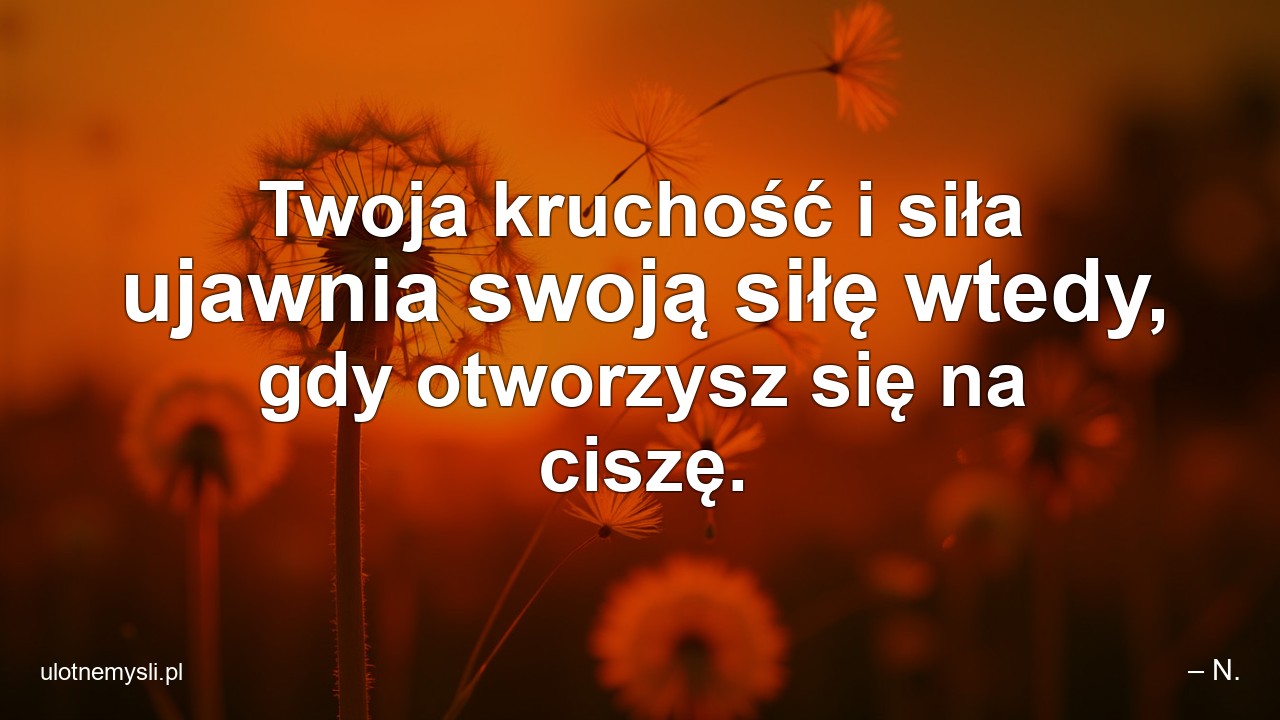 Twoja kruchość i siła ujawnia swoją siłę wtedy,  gdy otworzysz się na ciszę. - – N.