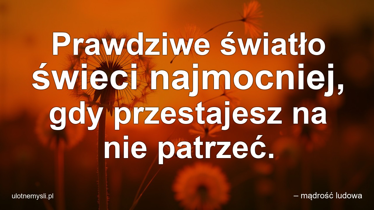 Prawdziwe światło świeci najmocniej,  gdy przestajesz na nie patrzeć. - – mądrość ludowa