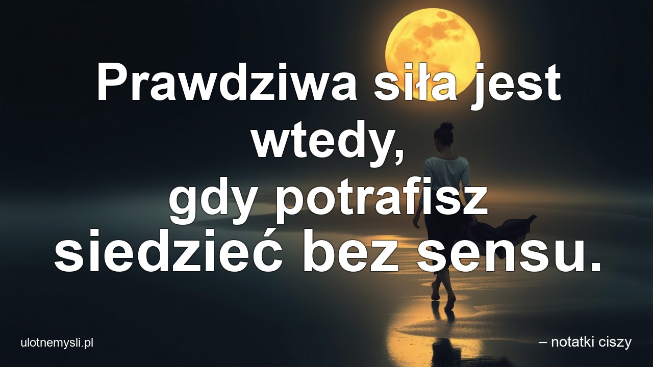 Prawdziwa siła jest wtedy,  gdy potrafisz siedzieć bez sensu. - – notatki ciszy