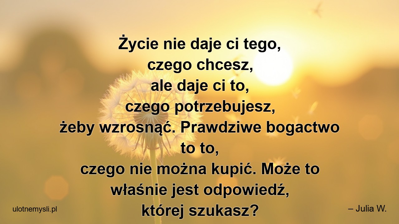 Życie nie daje ci tego,  czego chcesz,  ale daje ci to,  czego potrzebujesz,  żeby wzrosnąć. Prawdziwe bogactwo to to,  czego nie można kupić. Może to właśnie jest odpowiedź,  której szukasz?