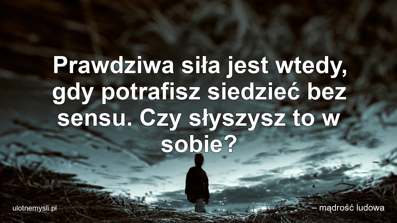 Prawdziwa siła jest wtedy,  gdy potrafisz siedzieć bez sensu. Czy słyszysz to w sobie?