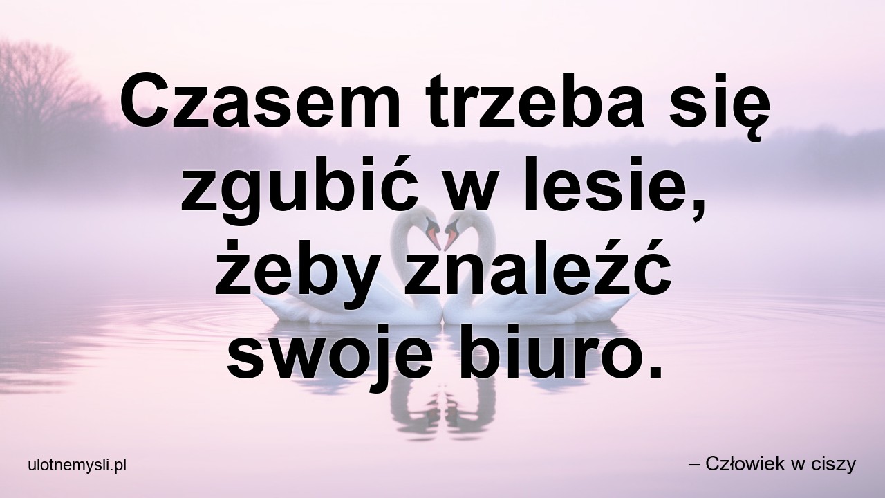 Czasem trzeba się zgubić w lesie,  żeby znaleźć swoje biuro. - – Człowiek w ciszy