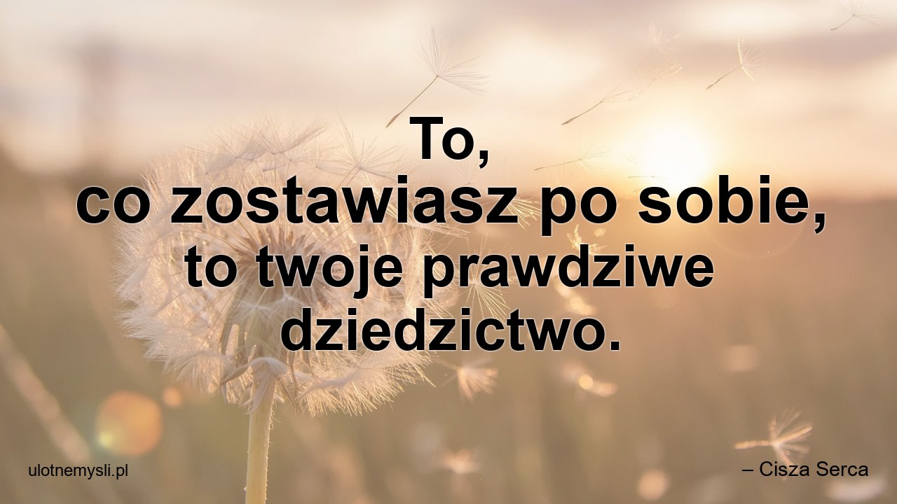 To,  co zostawiasz po sobie,  to twoje prawdziwe dziedzictwo. - – Cisza Serca
