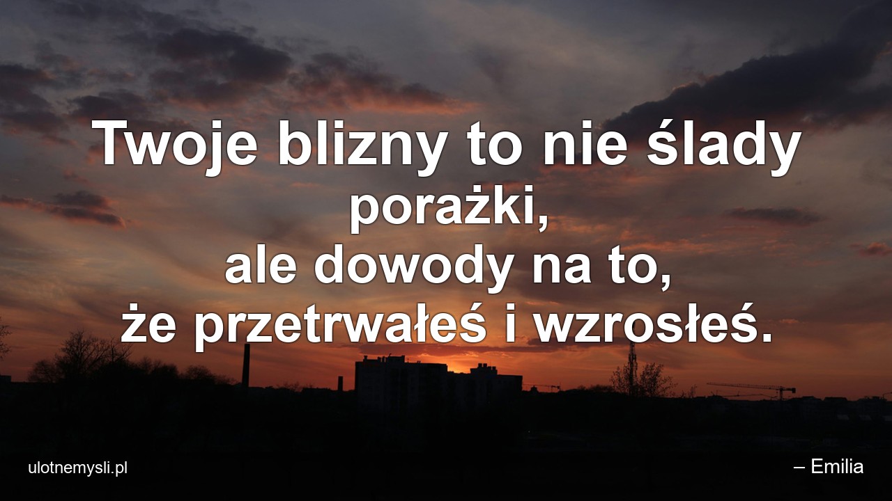 Twoje blizny to nie ślady porażki,  ale dowody na to,  że przetrwałeś i wzrosłeś.