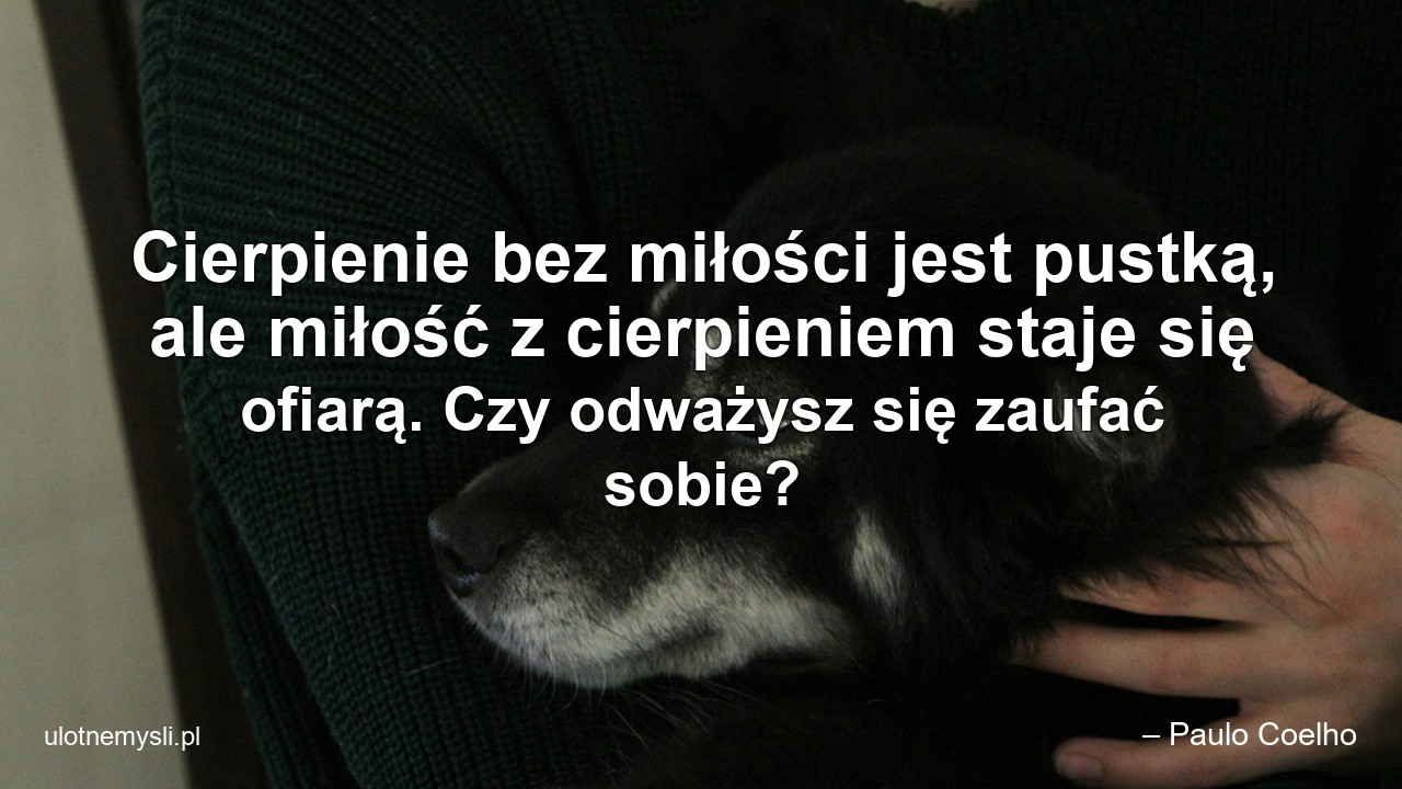 Cierpienie bez miłości jest pustką,  ale miłość z cierpieniem staje się ofiarą. Czy odważysz się zaufać sobie?
