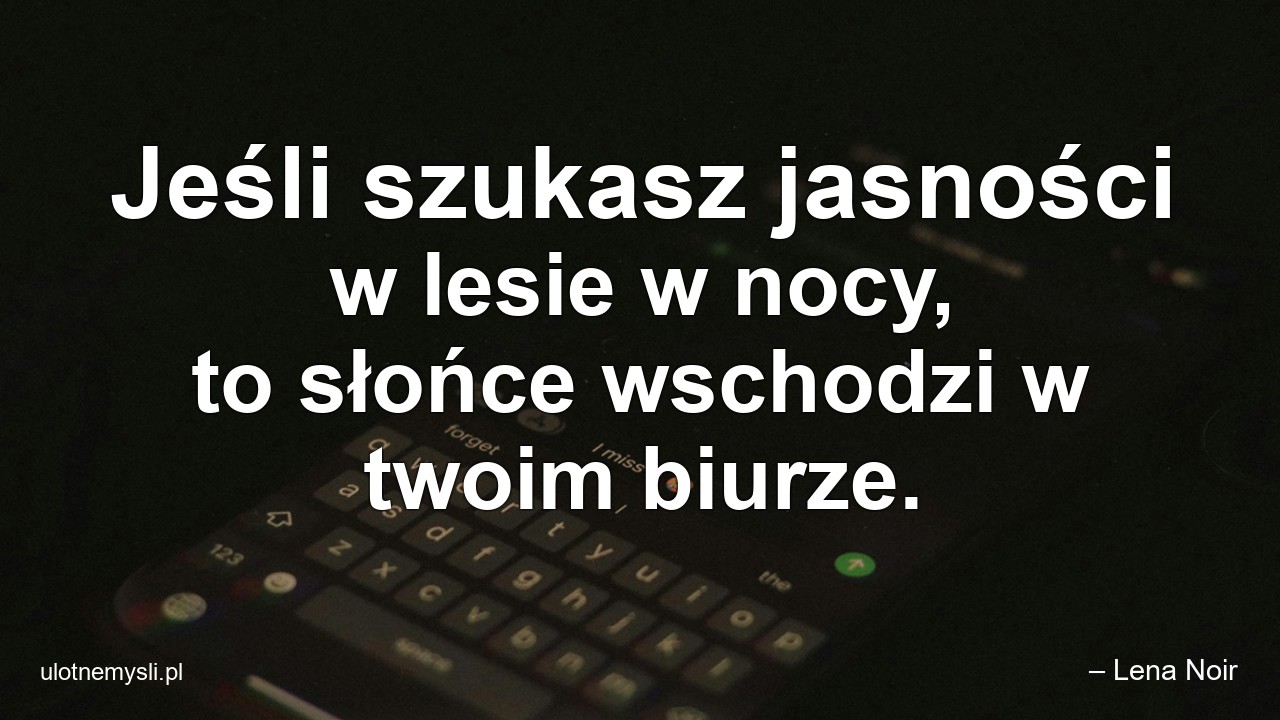 Jeśli szukasz jasności w lesie w nocy,  to słońce wschodzi w twoim biurze.
