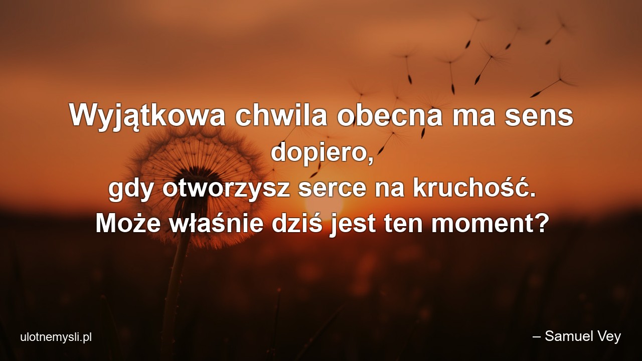 Wyjątkowa chwila obecna ma sens dopiero,  gdy otworzysz serce na kruchość. Może właśnie dziś jest ten moment? - – Samuel Vey
