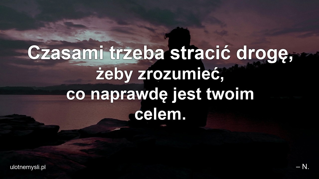 Czasami trzeba stracić drogę,  żeby zrozumieć,  co naprawdę jest twoim celem. - – N.