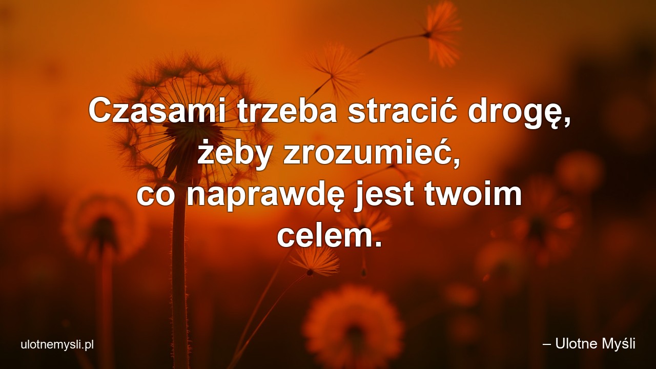 Czasami trzeba stracić drogę,  żeby zrozumieć,  co naprawdę jest twoim celem. - – Ulotne Myśli