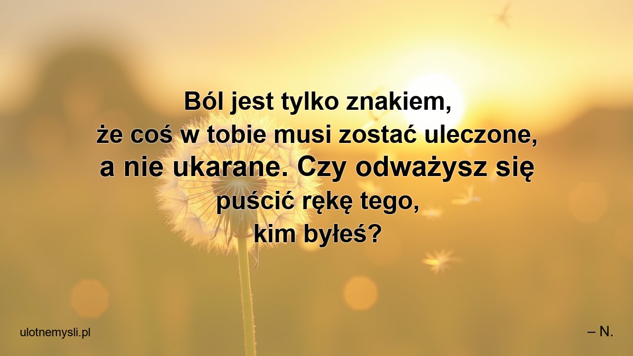 Ból jest tylko znakiem,  że coś w tobie musi zostać uleczone,  a nie ukarane. Czy odważysz się puścić rękę tego,  kim byłeś? - – N.