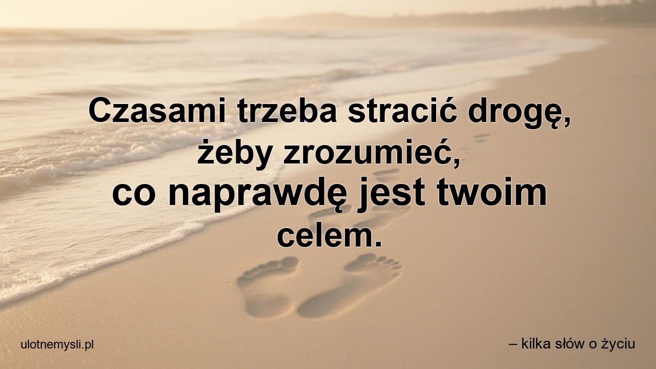 Czasami trzeba stracić drogę,  żeby zrozumieć,  co naprawdę jest twoim celem. - – kilka słów o życiu