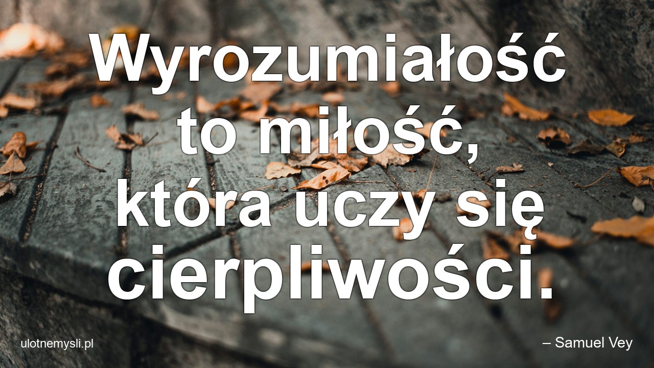 Wyrozumiałość to miłość,  która uczy się cierpliwości. - – Samuel Vey