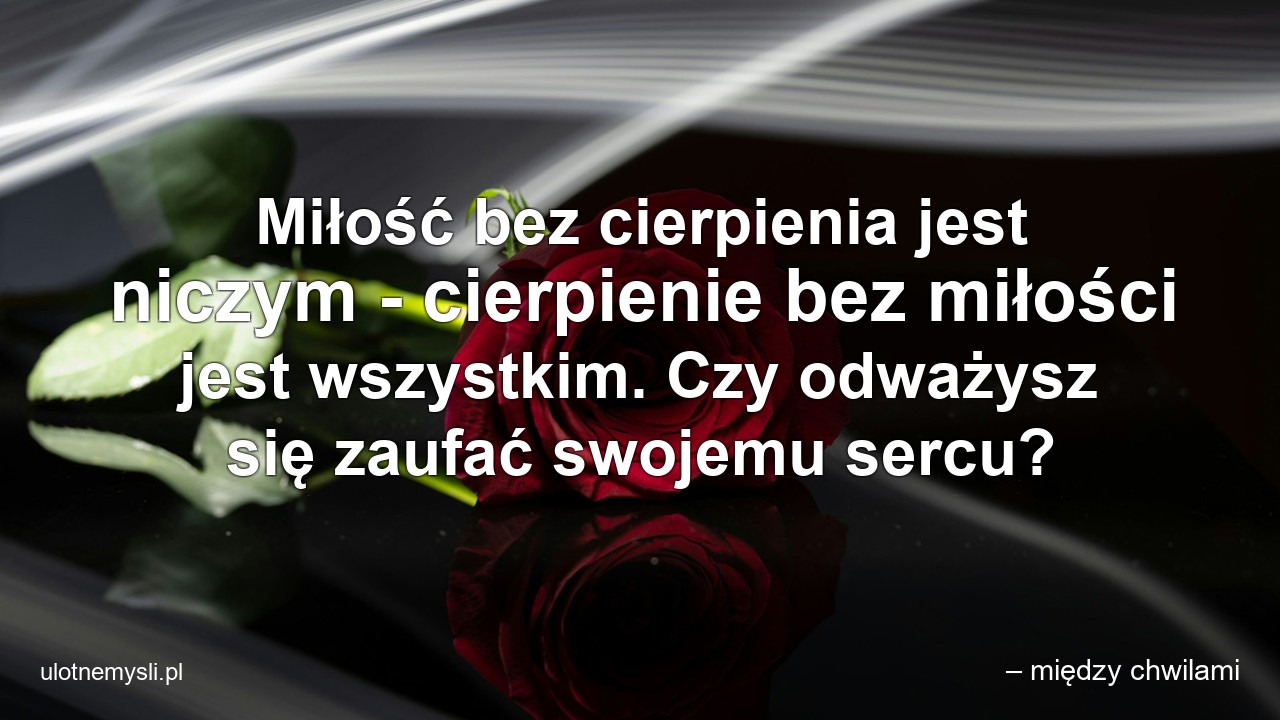 Miłość bez cierpienia jest niczym - cierpienie bez miłości jest wszystkim. Czy odważysz się zaufać swojemu sercu? - – między chwilami
