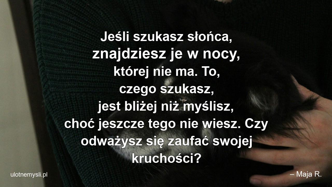 Jeśli szukasz słońca,  znajdziesz je w nocy,  której nie ma. To,  czego szukasz,  jest bliżej niż myślisz,  choć jeszcze tego nie wiesz. Czy odważysz się zaufać swojej kruchości?