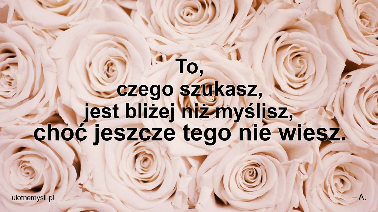 To,  czego szukasz,  jest bliżej niż myślisz,  choć jeszcze tego nie wiesz.