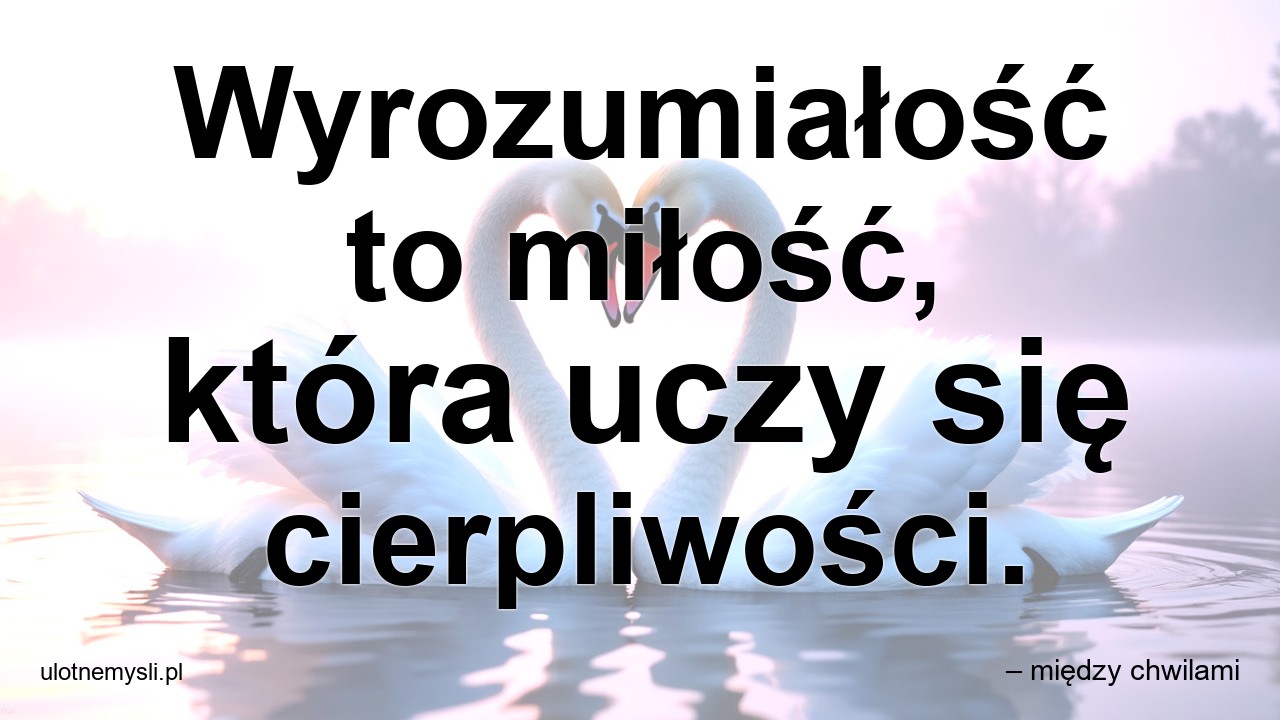 Wyrozumiałość to miłość,  która uczy się cierpliwości.