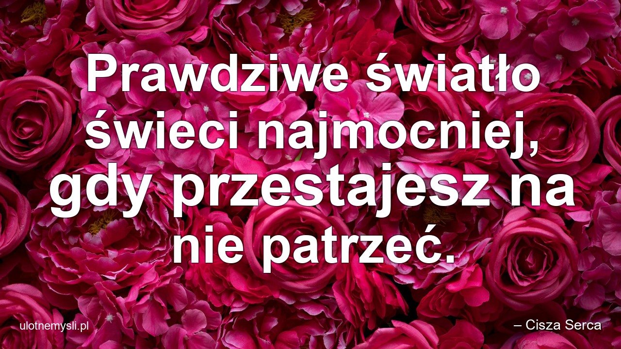 Prawdziwe światło świeci najmocniej,  gdy przestajesz na nie patrzeć. - – Cisza Serca