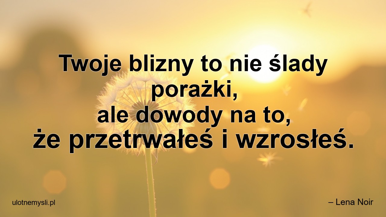 Twoje blizny to nie ślady porażki,  ale dowody na to,  że przetrwałeś i wzrosłeś. - – Lena Noir
