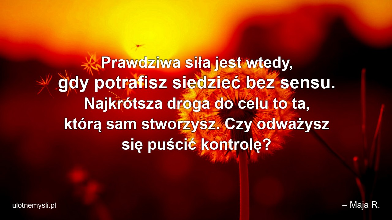 Prawdziwa siła jest wtedy,  gdy potrafisz siedzieć bez sensu. Najkrótsza droga do celu to ta,  którą sam stworzysz. Czy odważysz się puścić kontrolę?