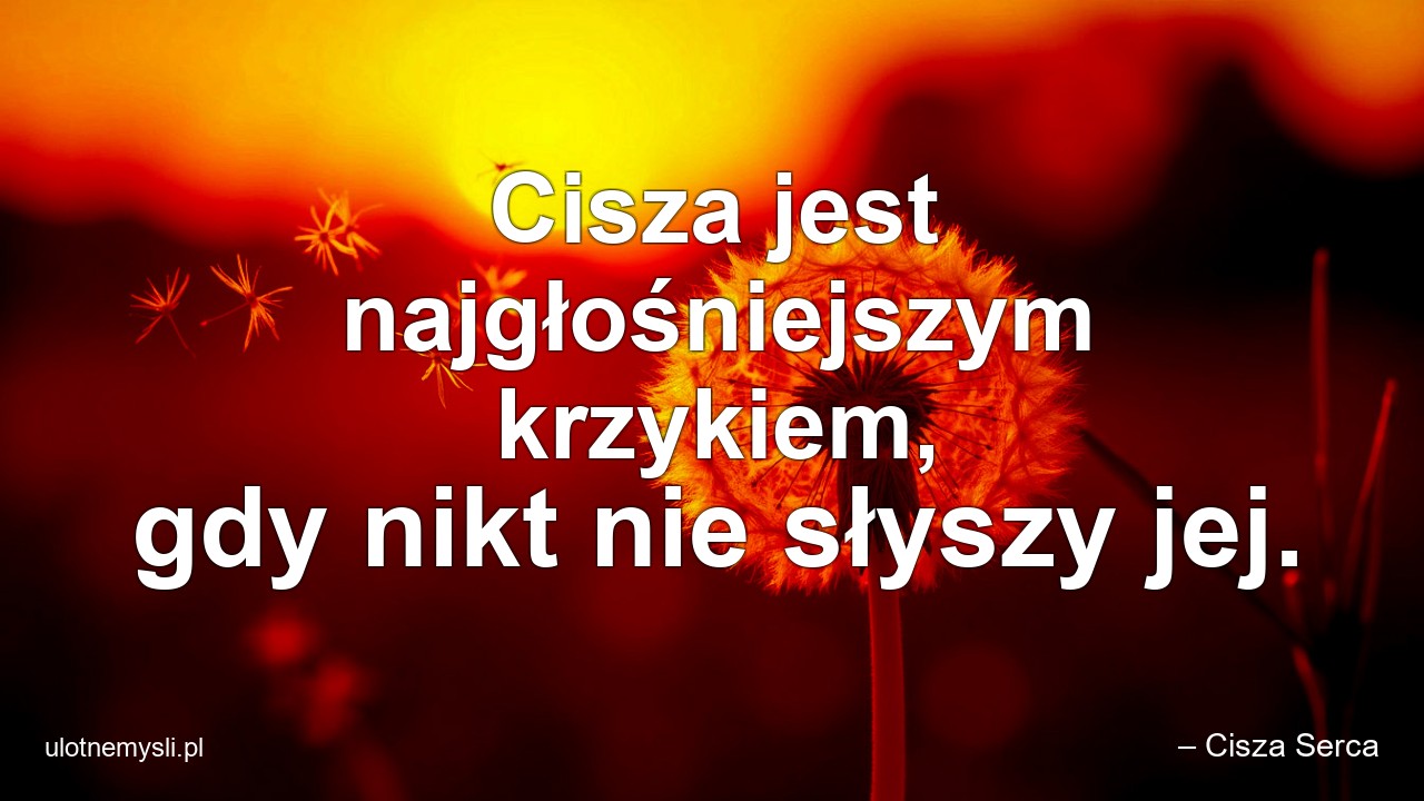 Cisza jest najgłośniejszym krzykiem,  gdy nikt nie słyszy jej.