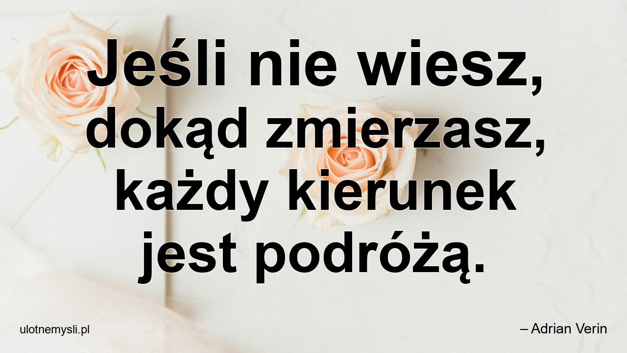 Jeśli nie wiesz,  dokąd zmierzasz,  każdy kierunek jest podróżą.