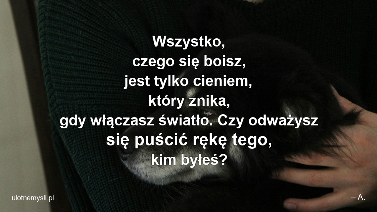 Wszystko,  czego się boisz,  jest tylko cieniem,  który znika,  gdy włączasz światło. Czy odważysz się puścić rękę tego,  kim byłeś?