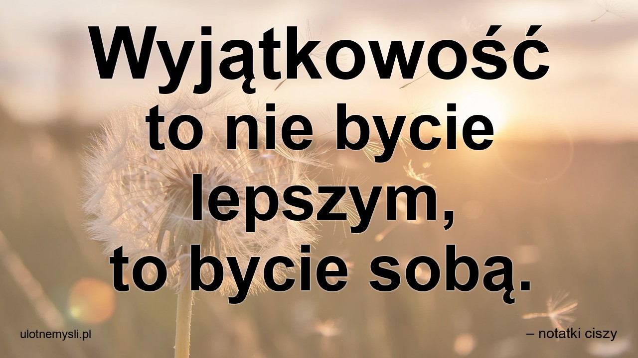 Wyjątkowość to nie bycie lepszym,  to bycie sobą. - – notatki ciszy