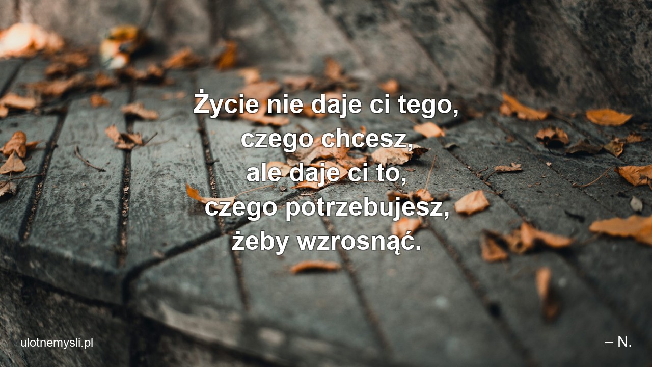 Życie nie daje ci tego,  czego chcesz,  ale daje ci to,  czego potrzebujesz,  żeby wzrosnąć. - – N.