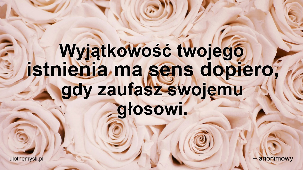 Wyjątkowość twojego istnienia ma sens dopiero,  gdy zaufasz swojemu głosowi. - – anonimowy