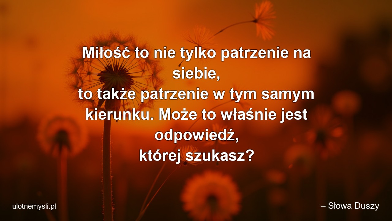 Miłość to nie tylko patrzenie na siebie,  to także patrzenie w tym samym kierunku. Może to właśnie jest odpowiedź,  której szukasz? - – Słowa Duszy
