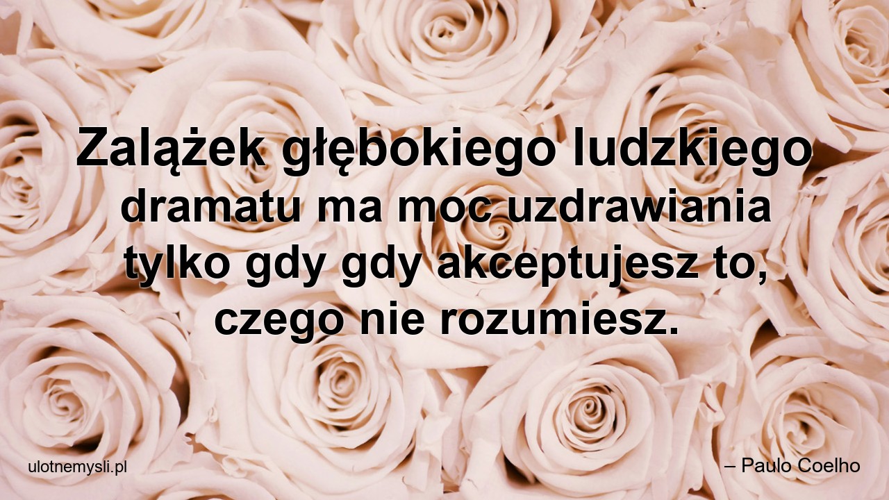 Zalążek głębokiego ludzkiego dramatu ma moc uzdrawiania tylko gdy gdy akceptujesz to,  czego nie rozumiesz.
