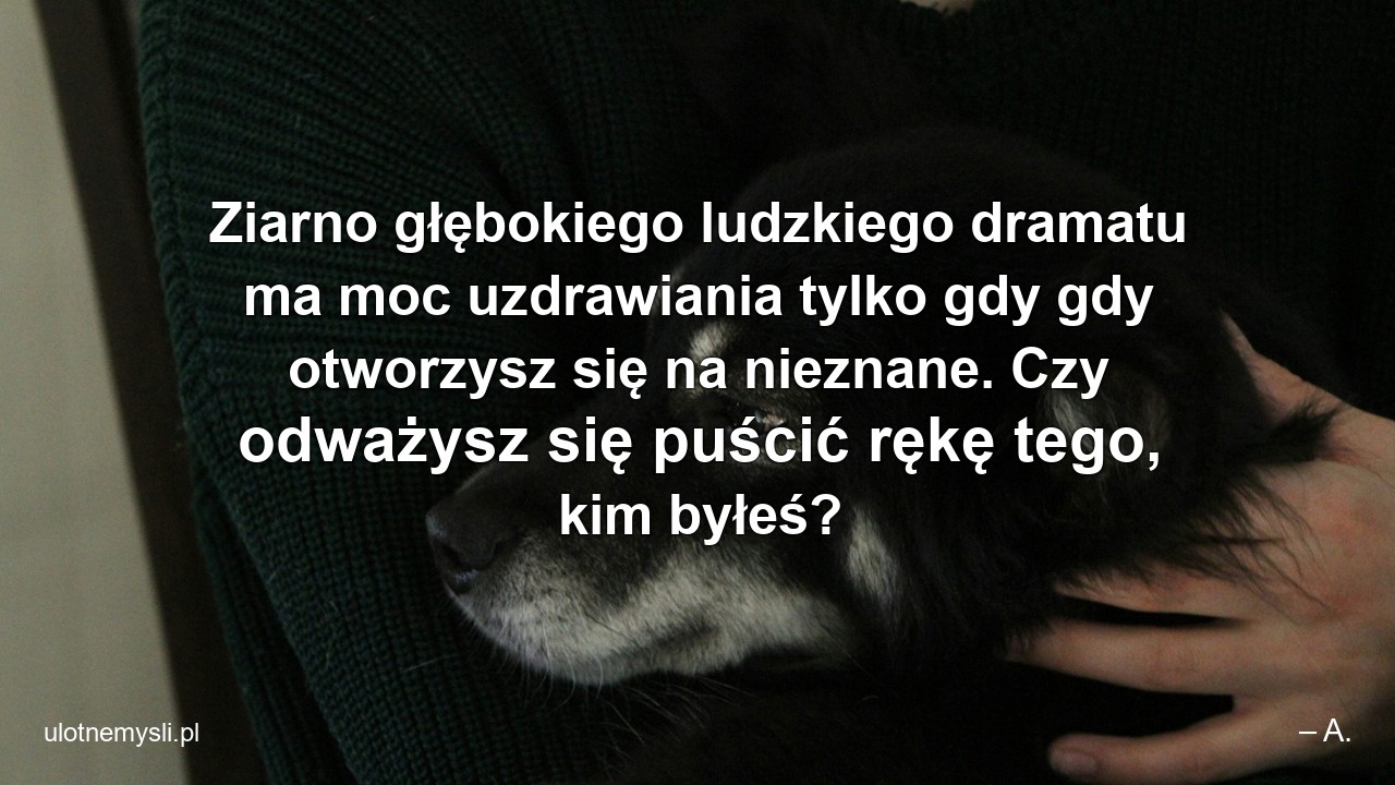 Ziarno głębokiego ludzkiego dramatu ma moc uzdrawiania tylko gdy gdy otworzysz się na nieznane. Czy odważysz się puścić rękę tego,  kim byłeś? - – A.
