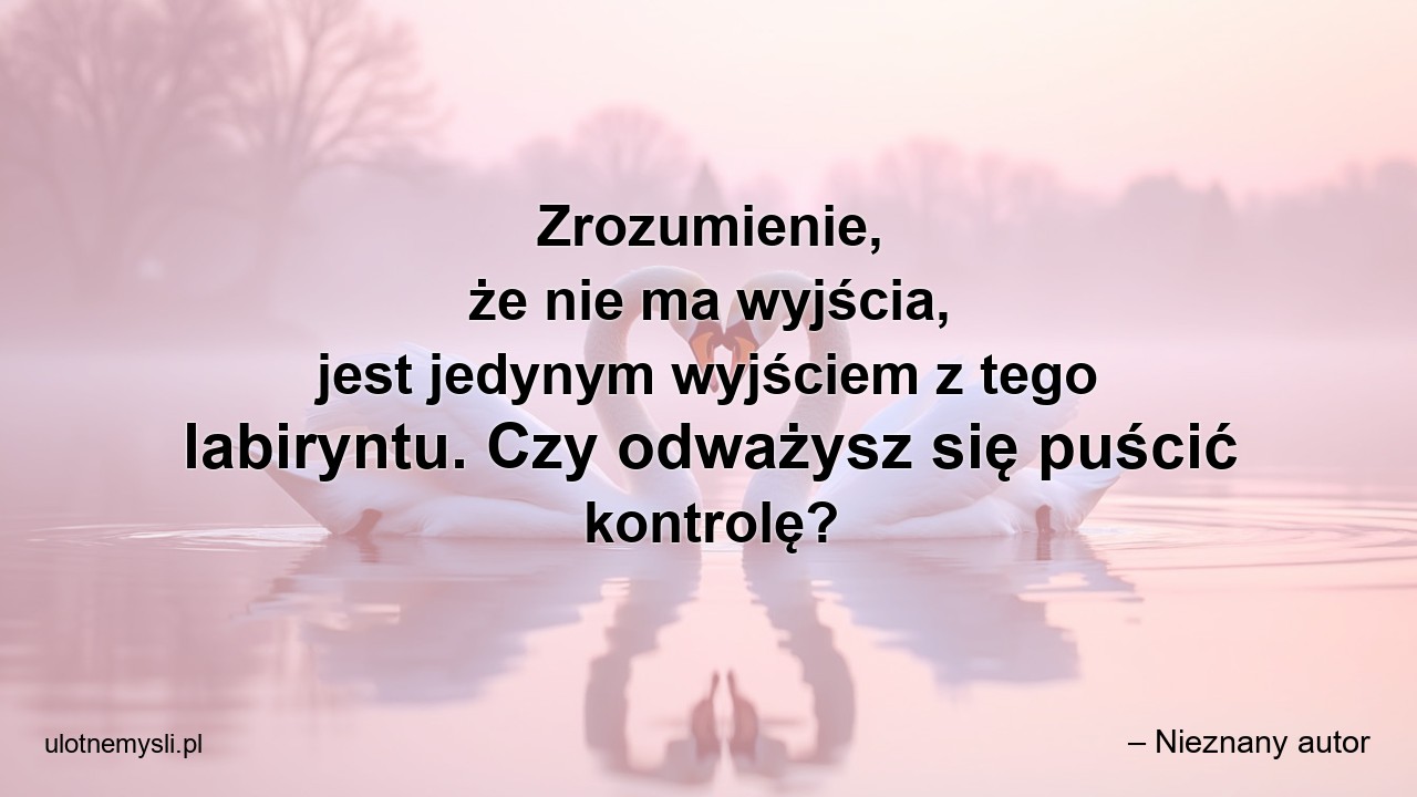 Zrozumienie,  że nie ma wyjścia,  jest jedynym wyjściem z tego labiryntu. Czy odważysz się puścić kontrolę?