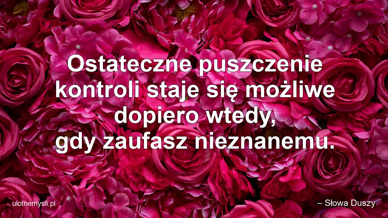 Ostateczne puszczenie kontroli staje się możliwe dopiero wtedy,  gdy zaufasz nieznanemu. - – Słowa Duszy