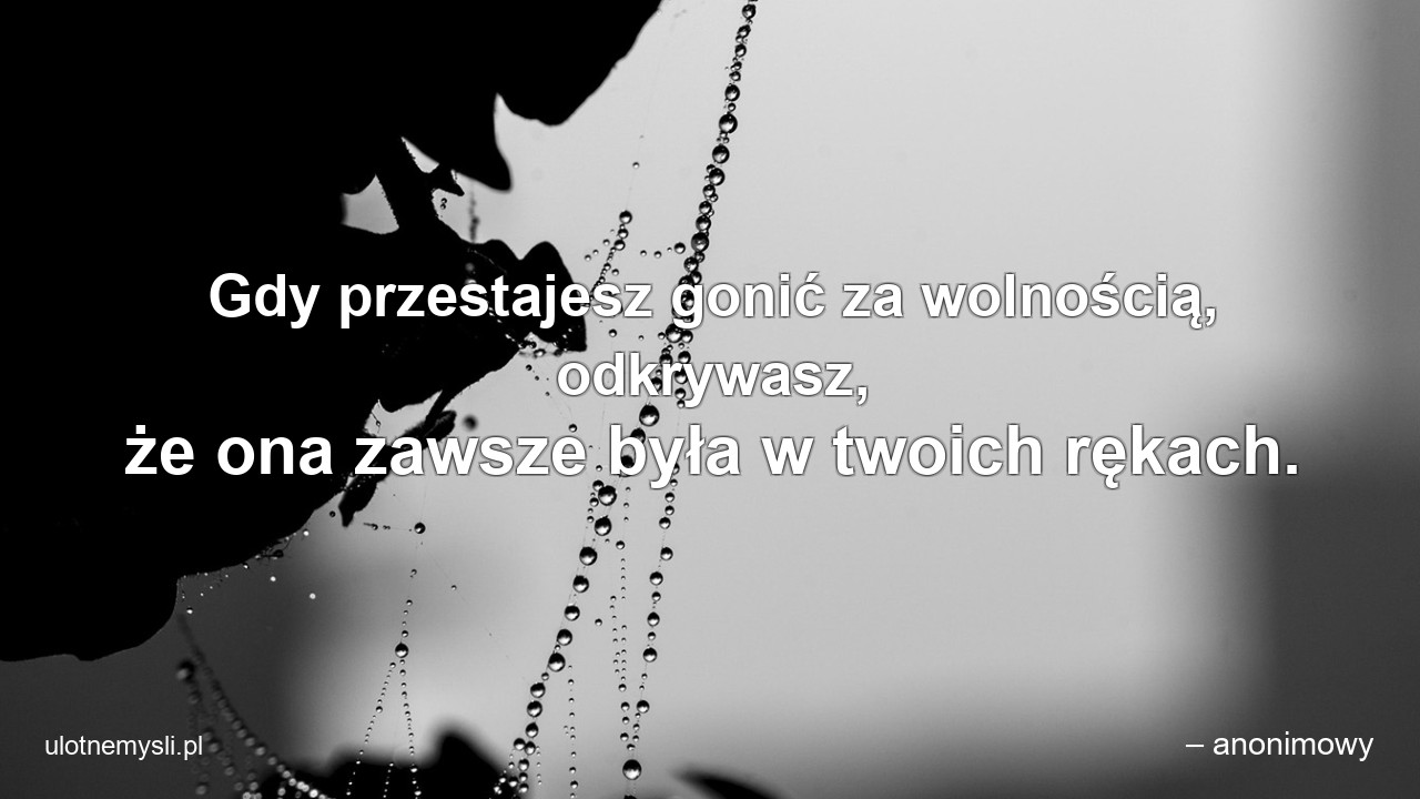 Gdy przestajesz gonić za wolnością,  odkrywasz,  że ona zawsze była w twoich rękach. - – anonimowy