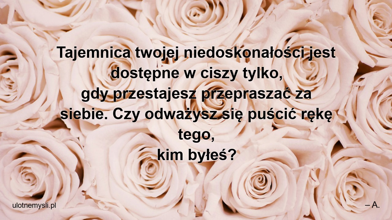 Tajemnica twojej niedoskonałości jest dostępne w ciszy tylko,  gdy przestajesz przepraszać za siebie. Czy odważysz się puścić rękę tego,  kim byłeś? - – A.