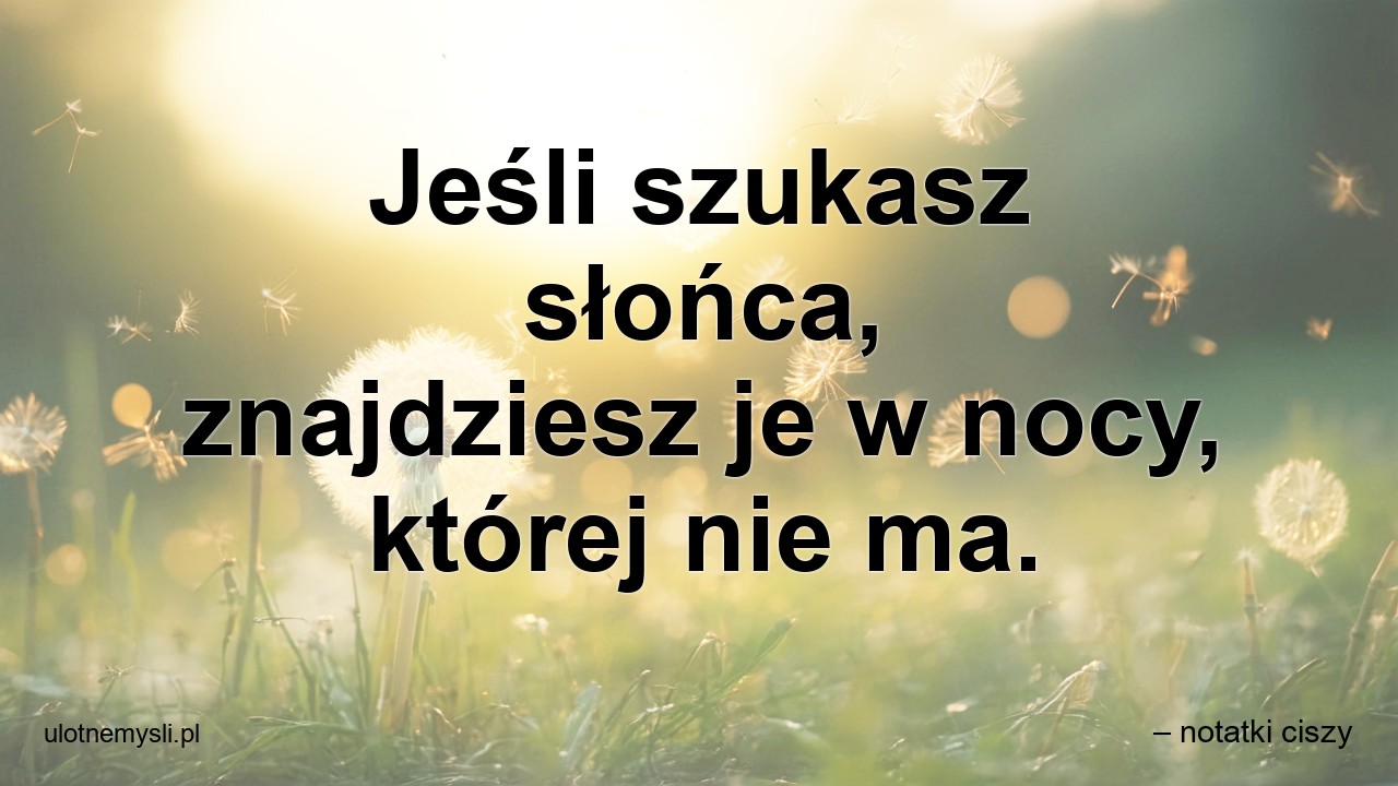 Jeśli szukasz słońca,  znajdziesz je w nocy,  której nie ma. - – notatki ciszy