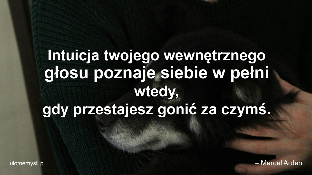 Intuicja twojego wewnętrznego głosu poznaje siebie w pełni wtedy,  gdy przestajesz gonić za czymś. - – Marcel Arden