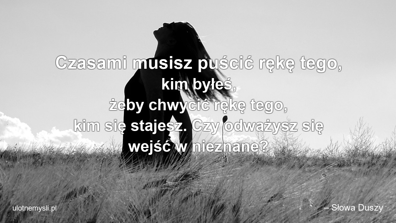 Czasami musisz puścić rękę tego,  kim byłeś,  żeby chwycić rękę tego,  kim się stajesz. Czy odważysz się wejść w nieznane? - – Słowa Duszy