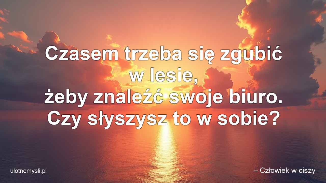 Czasem trzeba się zgubić w lesie,  żeby znaleźć swoje biuro. Czy słyszysz to w sobie? - – Człowiek w ciszy