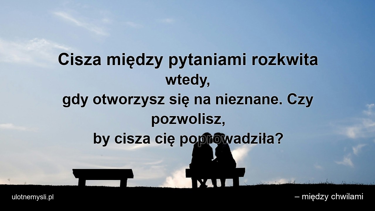 Cisza między pytaniami rozkwita wtedy,  gdy otworzysz się na nieznane. Czy pozwolisz,  by cisza cię poprowadziła? - – między chwilami