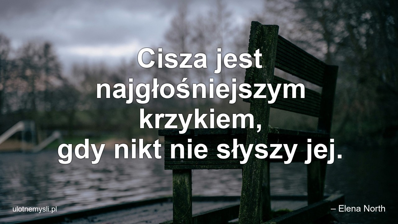 Cisza jest najgłośniejszym krzykiem,  gdy nikt nie słyszy jej. - – Elena North