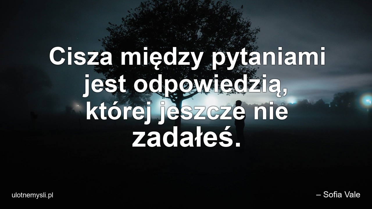 Cisza między pytaniami jest odpowiedzią,  której jeszcze nie zadałeś. - – Sofia Vale
