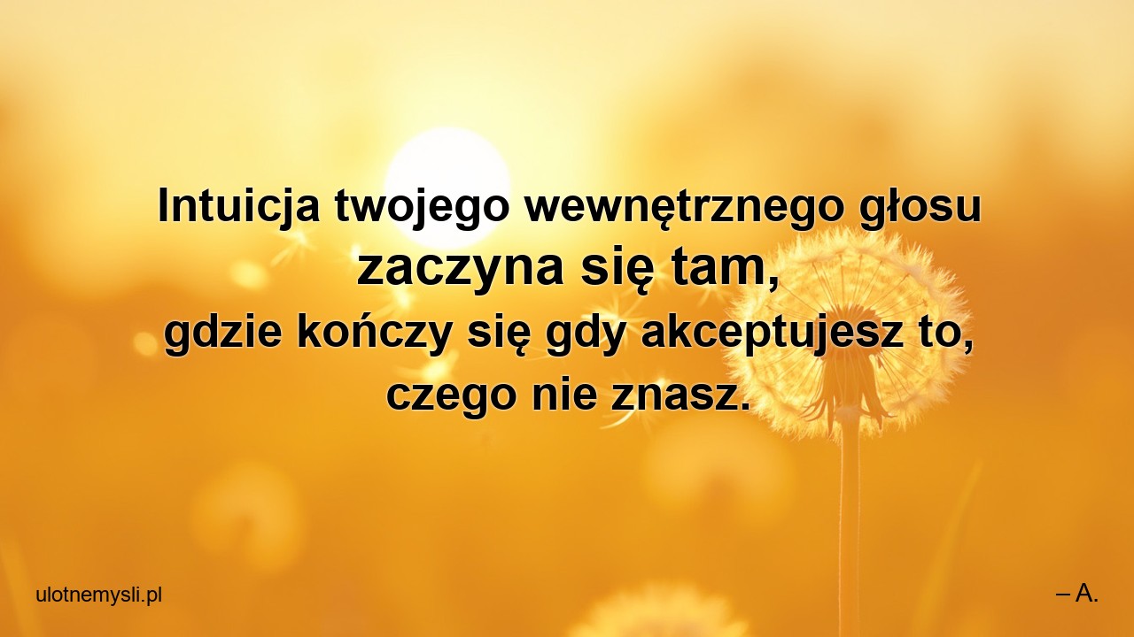 Intuicja twojego wewnętrznego głosu zaczyna się tam,  gdzie kończy się gdy akceptujesz to,  czego nie znasz.