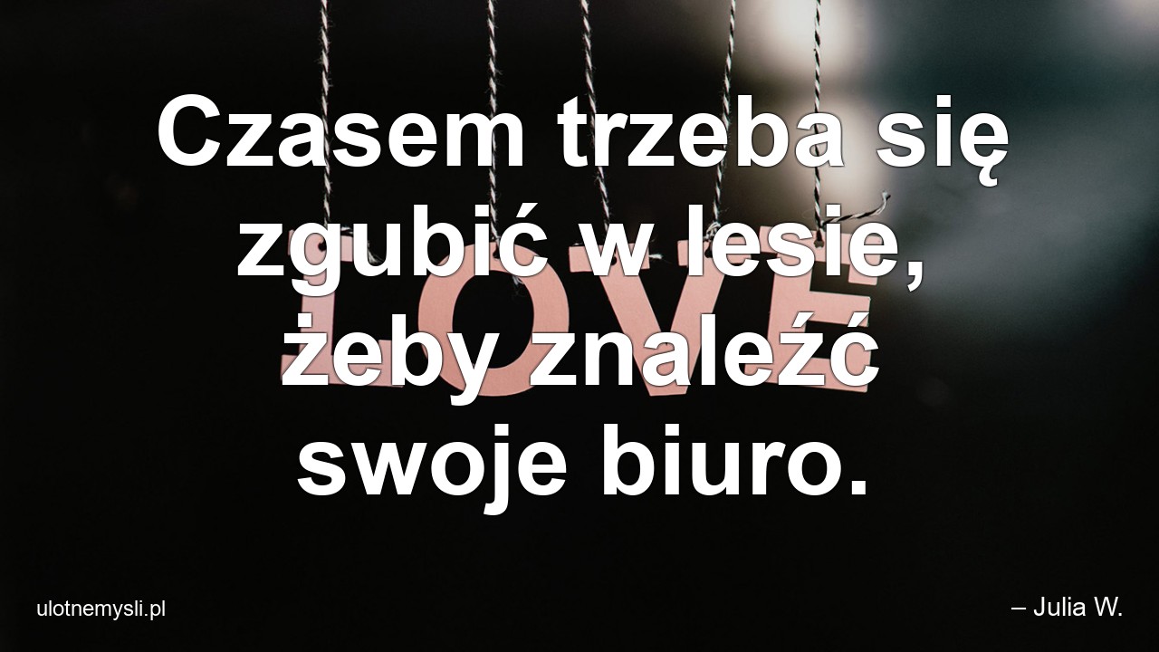 Czasem trzeba się zgubić w lesie,  żeby znaleźć swoje biuro. - – Julia W.