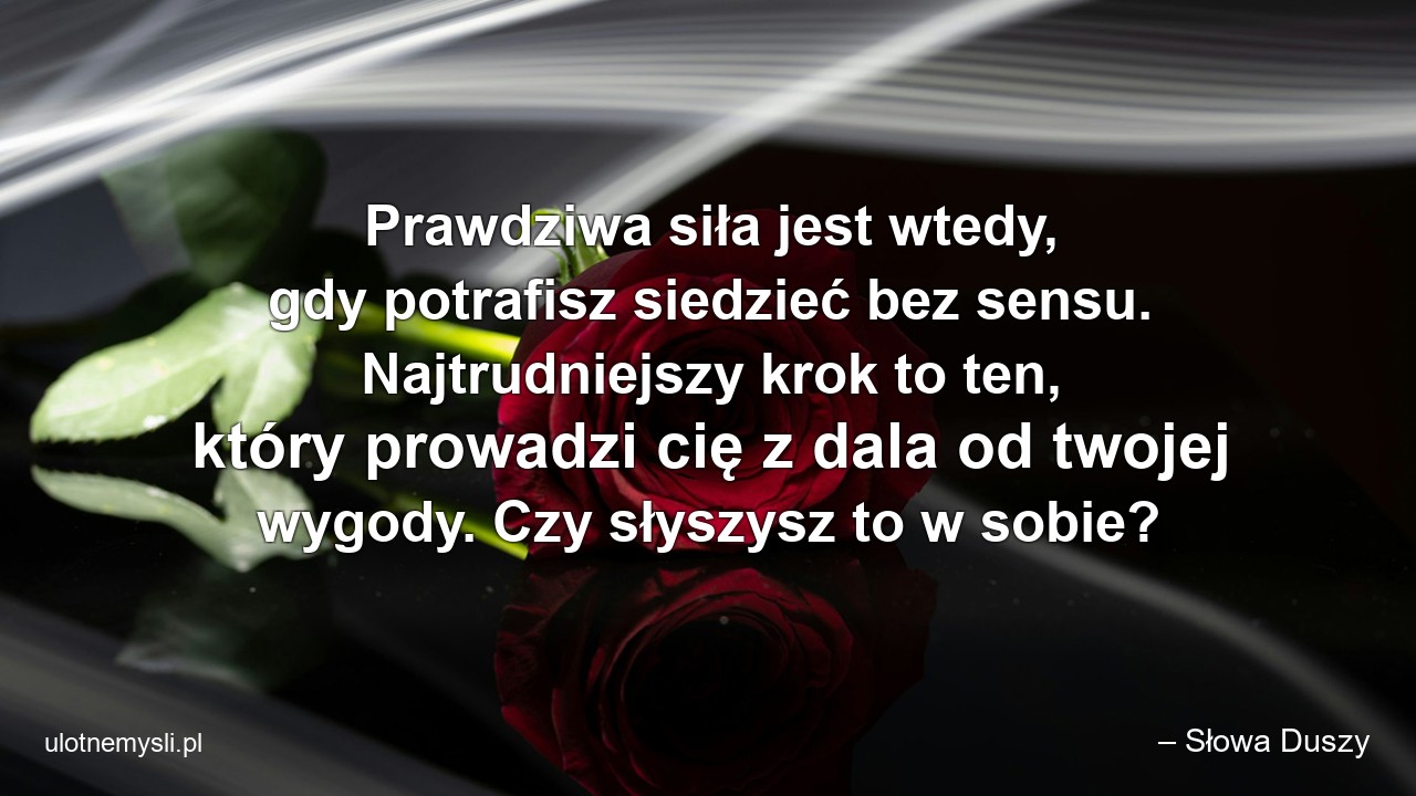 Prawdziwa siła jest wtedy,  gdy potrafisz siedzieć bez sensu. Najtrudniejszy krok to ten,  który prowadzi cię z dala od twojej wygody. Czy słyszysz to w sobie? - – Słowa Duszy