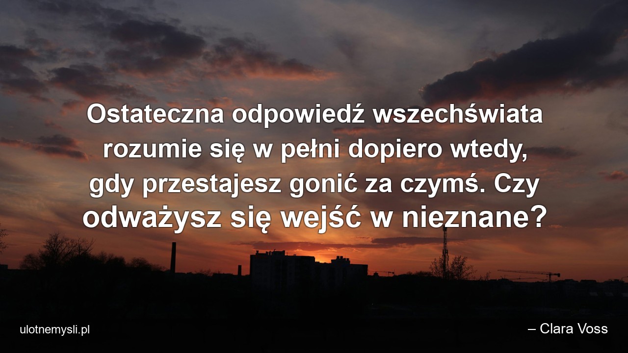 Ostateczna odpowiedź wszechświata rozumie się w pełni dopiero wtedy,  gdy przestajesz gonić za czymś. Czy odważysz się wejść w nieznane?
