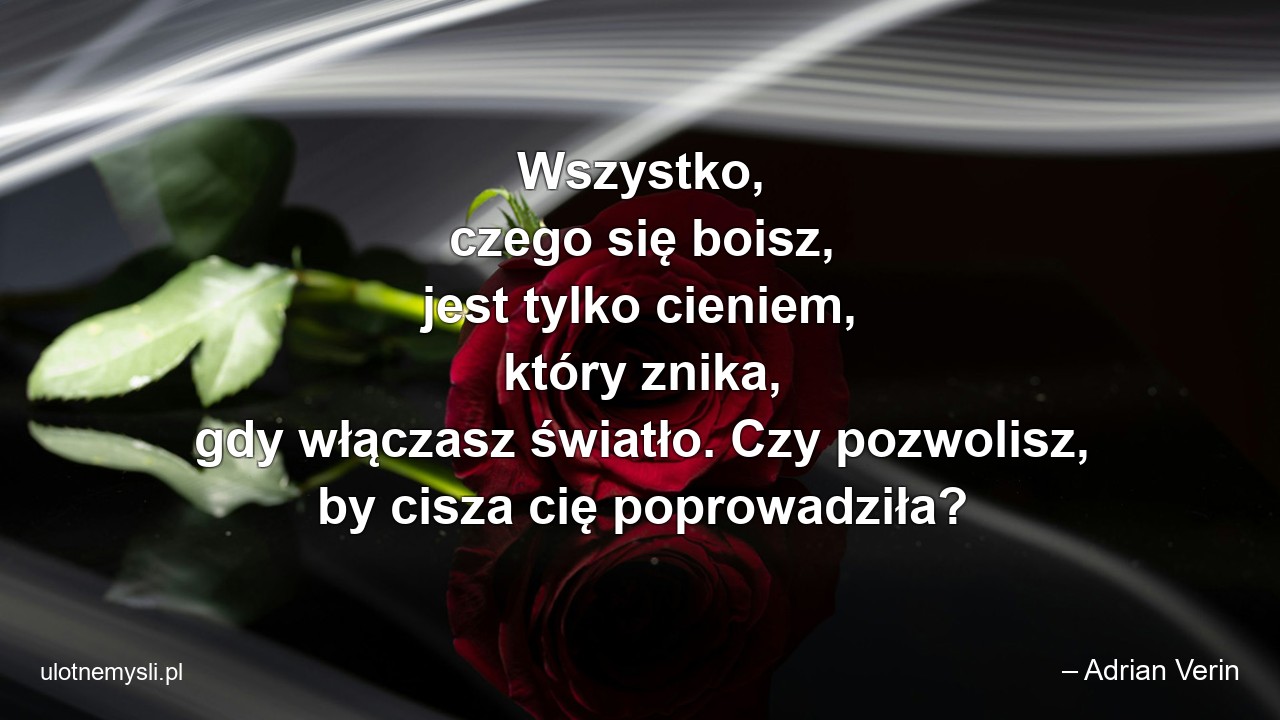 Wszystko,  czego się boisz,  jest tylko cieniem,  który znika,  gdy włączasz światło. Czy pozwolisz,  by cisza cię poprowadziła?