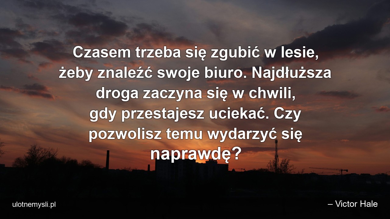 Czasem trzeba się zgubić w lesie,  żeby znaleźć swoje biuro. Najdłuższa droga zaczyna się w chwili,  gdy przestajesz uciekać. Czy pozwolisz temu wydarzyć się naprawdę?
