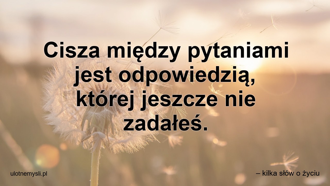 Cisza między pytaniami jest odpowiedzią,  której jeszcze nie zadałeś. - – kilka słów o życiu